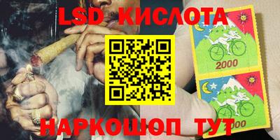 прущие крисы Бийск