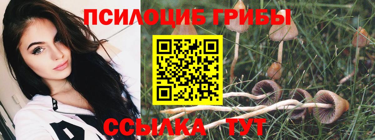 Псилоцибиновые грибы GOLDEN TEACHER Казань